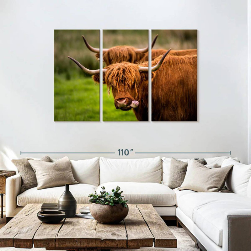 Brampt Fluffy Highland Cows, H 48 po x l 74 po