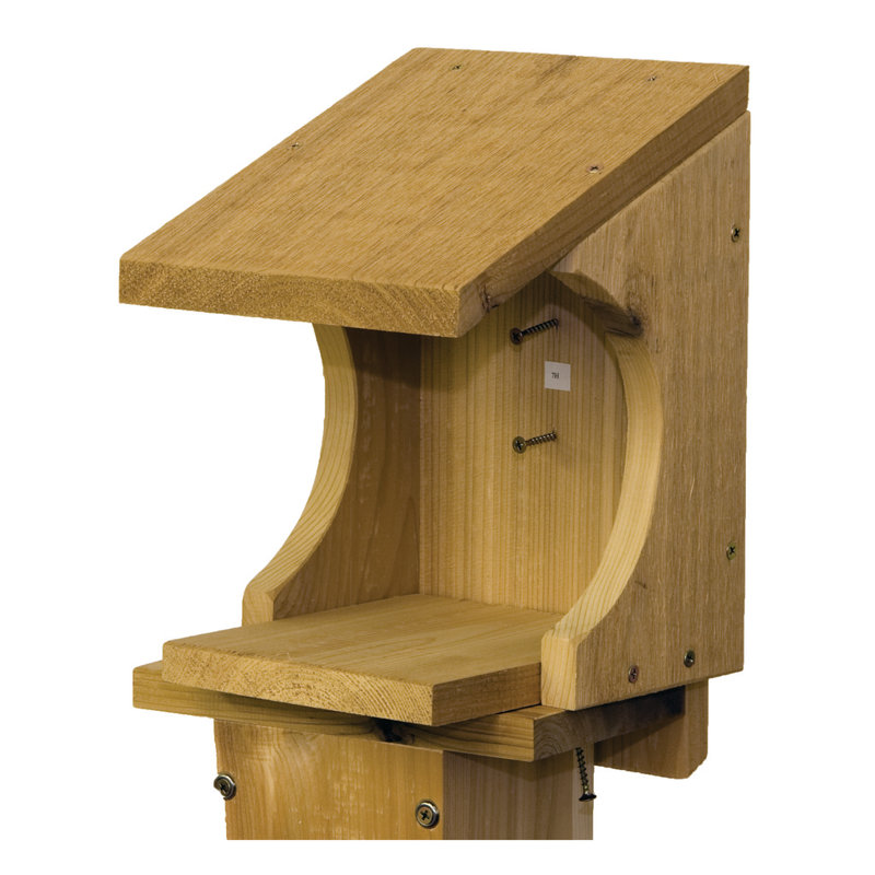 Mangeoire d’oiseaux de tablette robins nest
