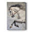 ANIMAUX Series CCCCXX - Gallery Cavas