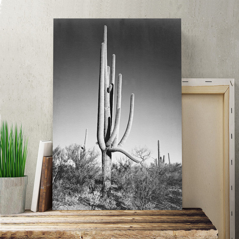 Ansel Adams - Wrapped Canvas Print, 50cm H x 35cm W