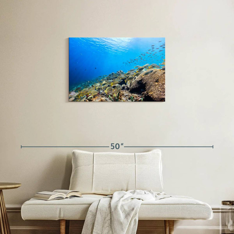 St. lucia ocean life Aletra, H 20 po x l 30 po