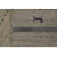 Tapis petits animaux Gabbeh 5 x 8