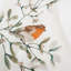Brushed Mistletoe Robins Cotton Reversible Duvet Cover Set-103006342