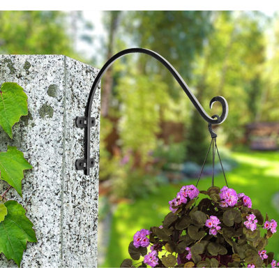 Wall Mount Plant Hook Premium Metal Decorative Hanging Bracket for Plants Bird Feeders Planters Home Decor, Heavy Duty, 8 inch