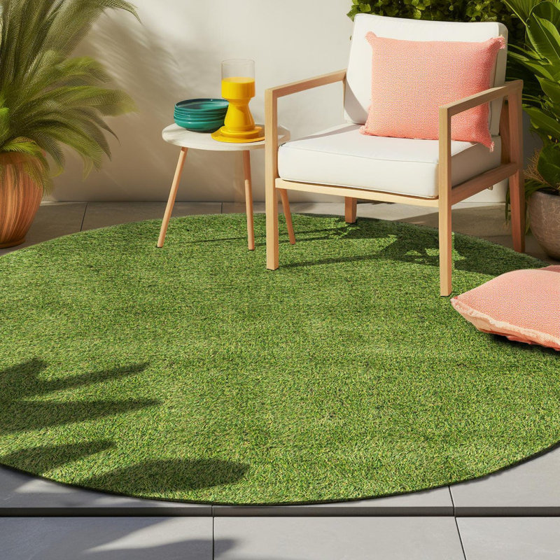 Cathlyn Indoor / Outdoor Rug, Round 3'1"