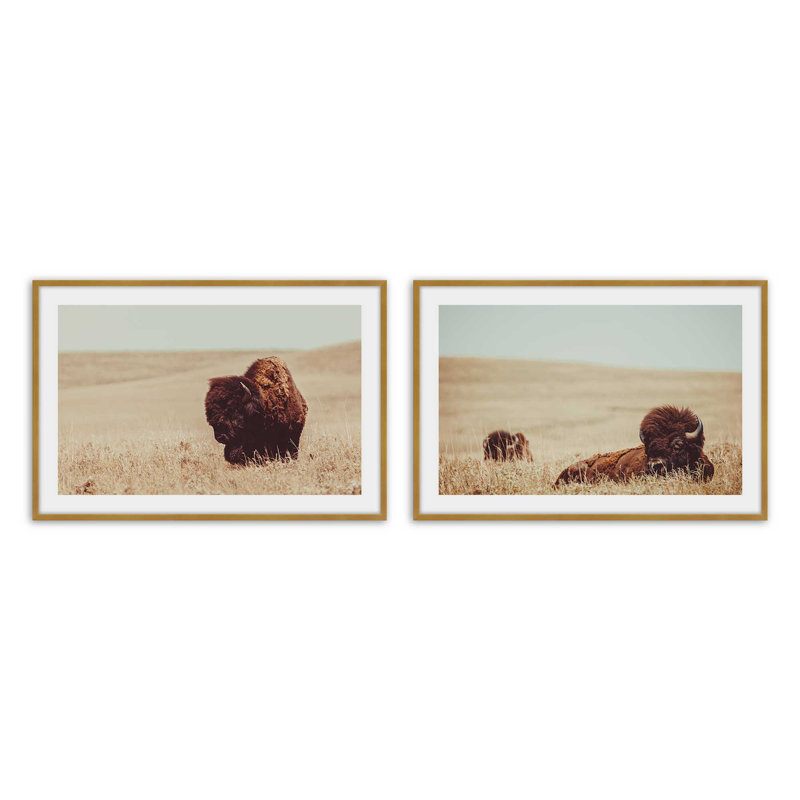 Prairie Bisons, ensemble de 2 impressions dans un cadre, Cadre doré poli, H 12,5 po x l 29,5 po x P 1,25 po