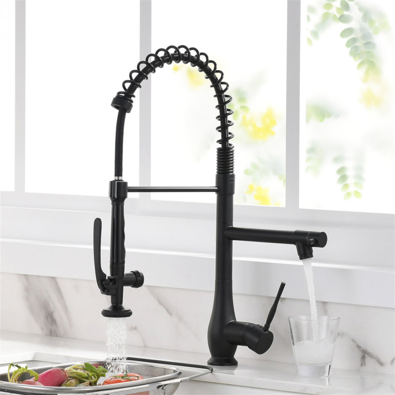 Robinet de cuisine avec douchette extractible noir et nickel, robinet d'évier de cuisine à poignée simple