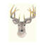 Deer Forest Print by Sara Brown-26762288-26762290