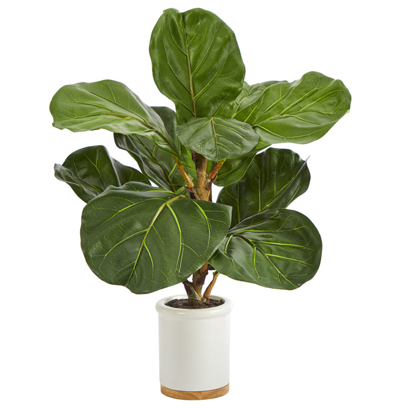 Figuier à feuilles artificielle en pot, H 21 po x l 12 po x P 12 po
