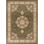 Natalyah Oriental Area Rug in Green/Brown