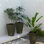 28 pots de 28 pouces de hauteur, de 3 grands pots à fleurs coniques avec drainage. Faux bois plastique pour patio, jardin, intérieur. Brun foncé. Pot de fleurs empilable, compact et portable, pots pour l'extérieur, résistance à