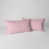 Rose tendre est en rupture de stock