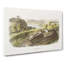 White Footed Mice by J.W. Audubon - Wrapped Canvas Print-55305101
