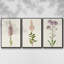 Mauve Garden Flowers I, ensemble de 3 toiles encadrées sur toile-92302388-92302391