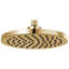 Essential® 10" Full/Standard Adjustable Shower Head with Raincan Function-552101058