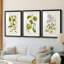 Arbre en fleurs I - reproduction sur mesure encadrée de qualité supérieure mate - 3 pièces-772769727-772769724