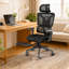 RIEIOR Task Chair with Headrest
