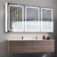 Armoire à pharmacie 60 pi x 30 po à DEL à double porte avec armoires à pharmacie pour salle de bain avec désembuage de miroir