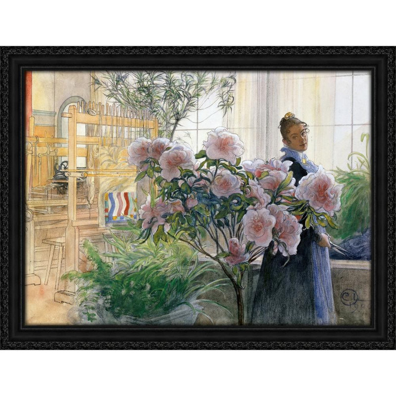 Azalea (1906)