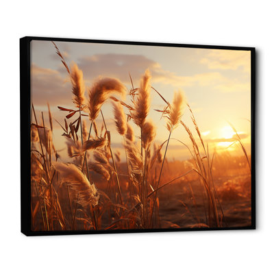 Coucher de soleil, Meadows d'été I