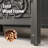 Tori 2-Door Rectangle Black Accent Cabinet