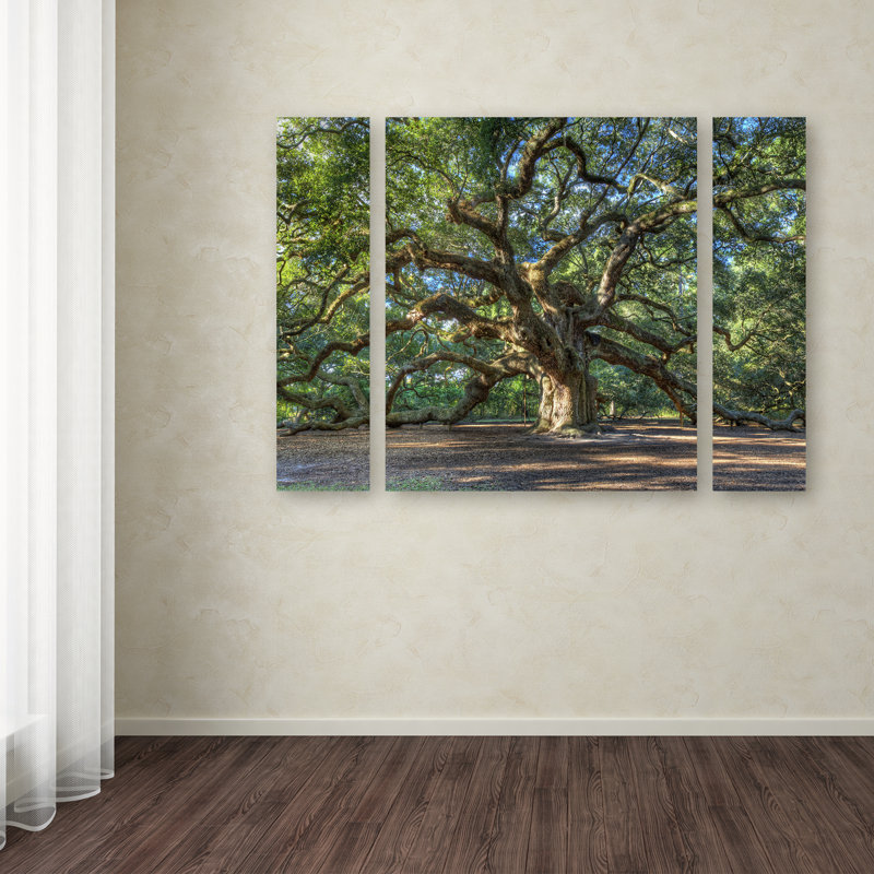 « ange oak charleston », ensemble de 3 reproductions de photos sur toiles tendues, H 30 po x l 41 po x P 2 po