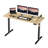 Oishee Electric Adjustable Standing Desk-1698230358-1704339706