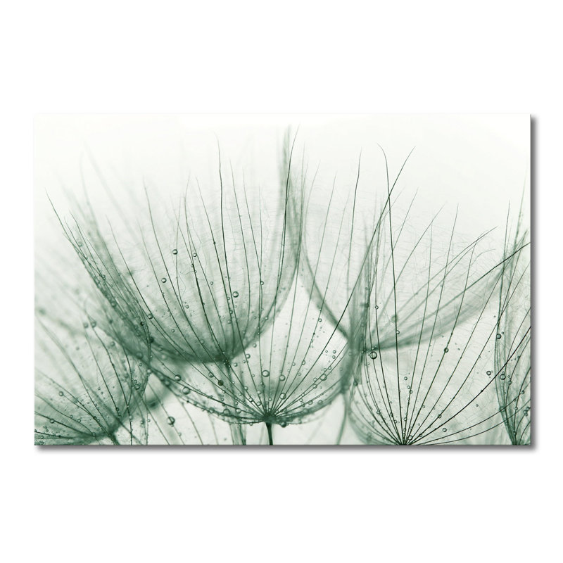 Wrapped Canvas Print, 80cm H x 120cm W x 2cm D