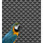 Pop Rock Polka Dots Wallpaper Double Roll