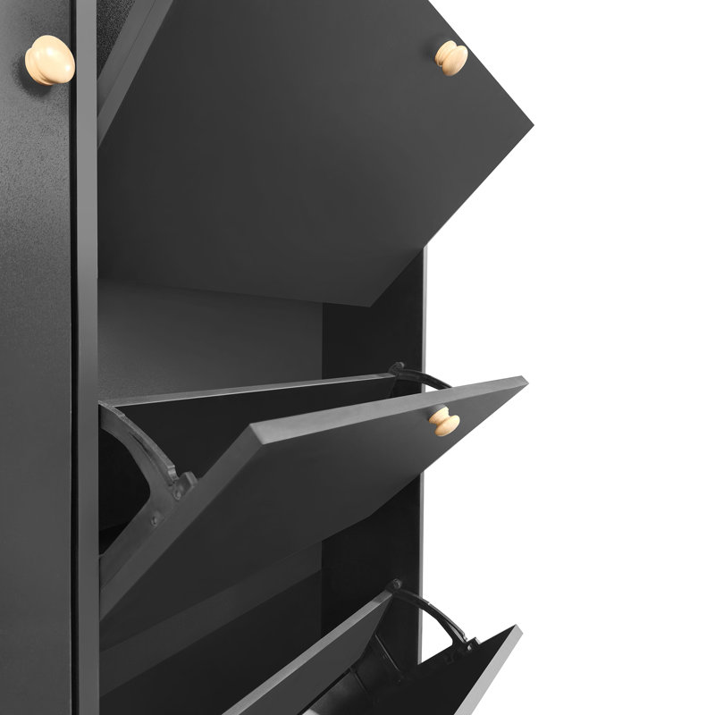 Phillys Shoe Storage Cabinet, Black