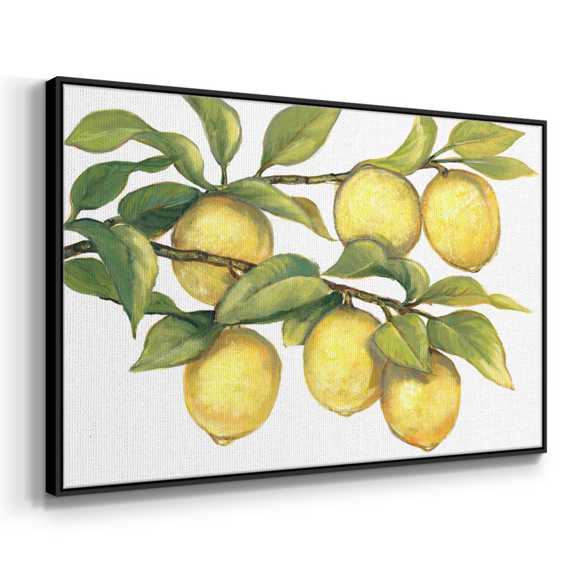 Ripe For Picks II, reproduction d'art sur toile, Noir, H 27 po x l 41 po x P 2 po