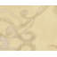 Assumed Damask Area Rug in Beige/White-40705327