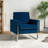 Charo 31.5" W Tufted Velvet Club Chair-1687803721