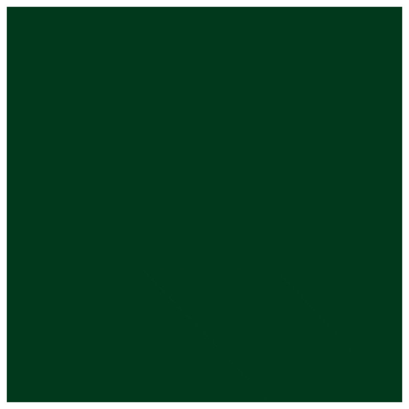 Rideaux de douche Solid Forest, 70 po L x 72 po H