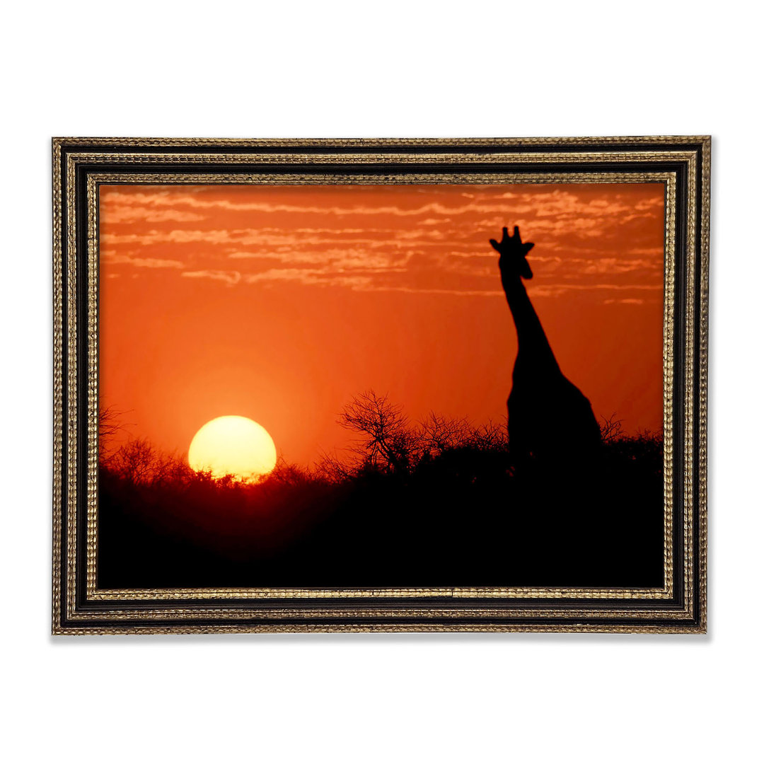 Afrikanische Giraffe im Sonnenuntergang - Einzelner Bilderrahmen Kunstdrucke