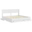 Bed-1367657550-1367657544