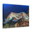 No Frame Print on Canvas-1548849973