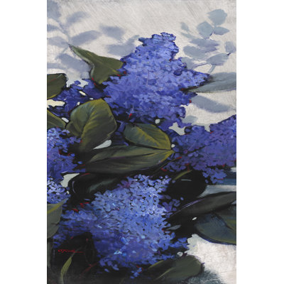 Lilac Spray II by Tim OToole - Wrapped Canvas Art Prints