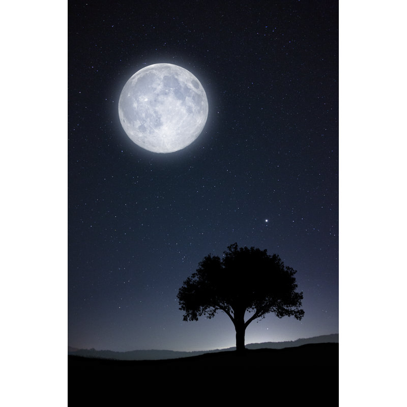 Full Moon by Draganab - Wrapped Canvas Print, 46cm H x 30cm W