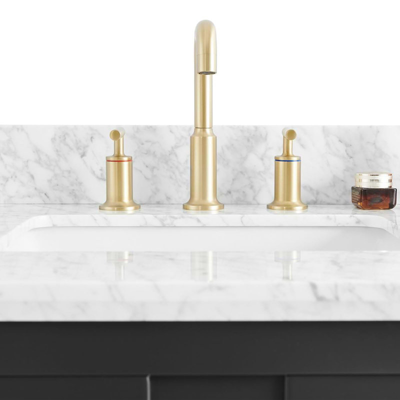 Iconic 24" Freestanding Standard Single Bathroom Vanity with Top, Black, Gold