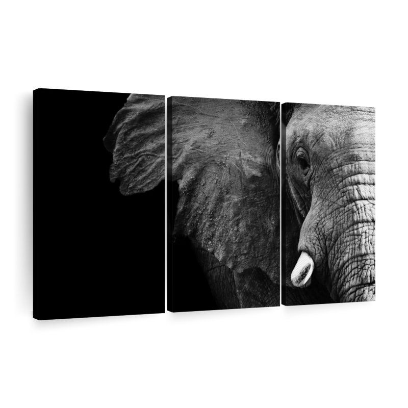 «Wise Elephant» sur toile, H 42 po x l 65 po