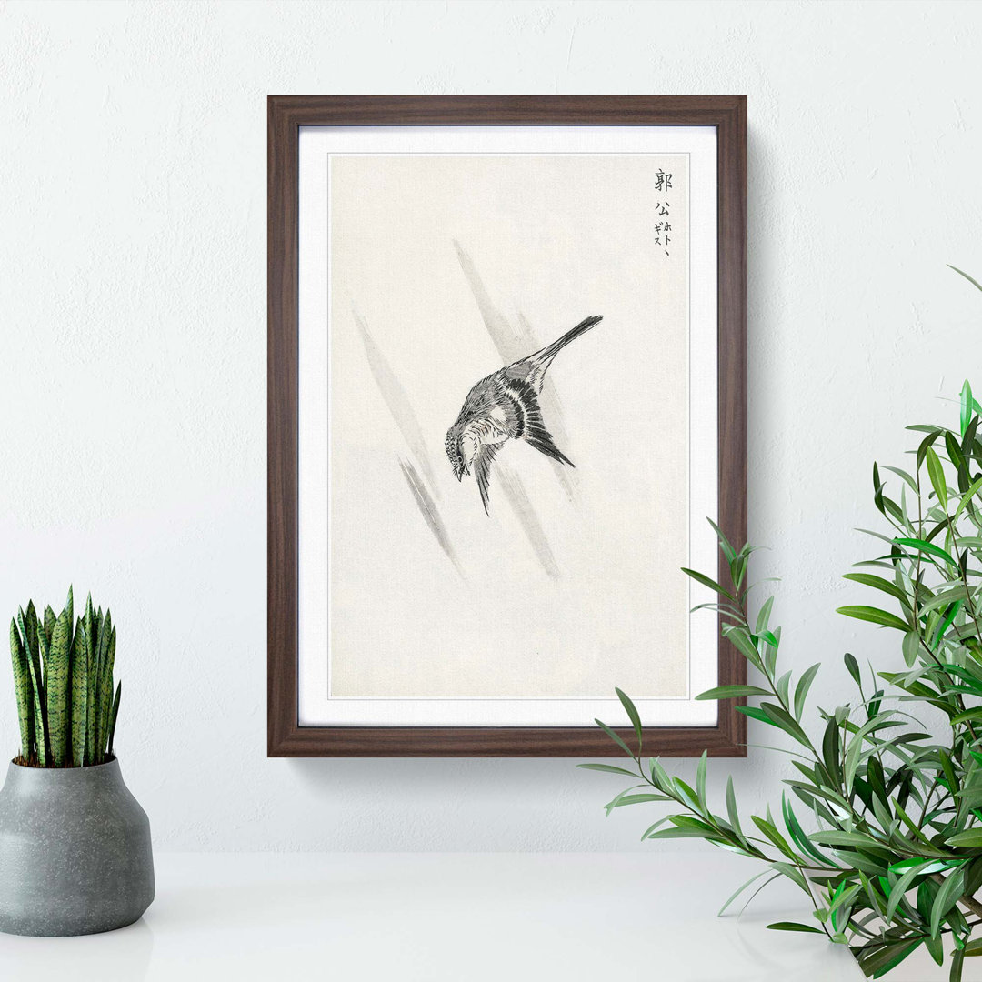 Japanese Cuckoo by Numata Kashu - Framed Print