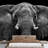 Elephant Removable Self Adhesive Large Wallpaper-93930812