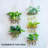 Premium Wall Hanging Terrarium Planter With Wooden Stand