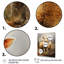 «Beige Sheep Rustic Ruminations II», reproduction d'art sur toile-1518859332-1518859389