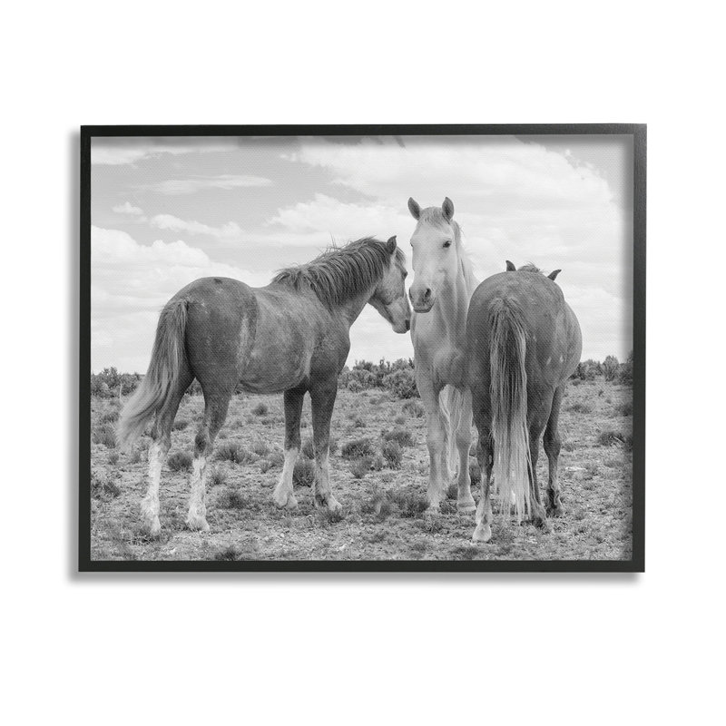 Trio de chevaux dans le désert, estampe numérique par JG Studios, Giclée encadrée noir minuit, H 11 po x l 14 po
