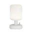 Moncheri USB Battery -operated Table Lamp Lamp