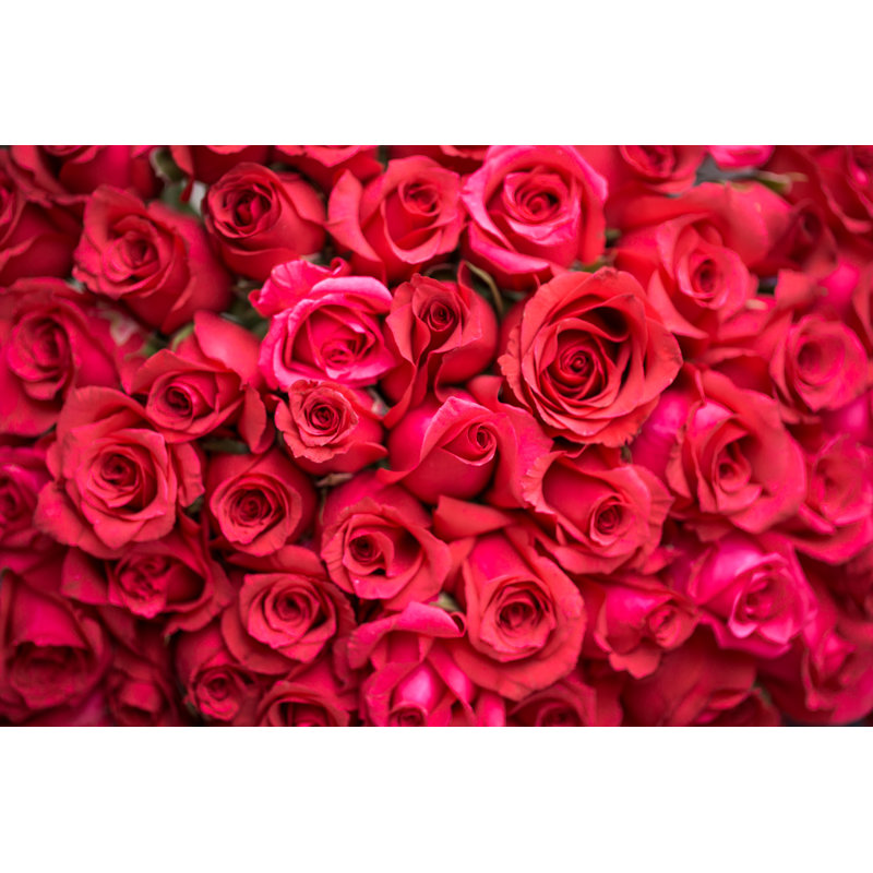 Flower Bouquet Wrapped by Jxfzsy - Wrapped Canvas Print, 20cm H x 30cm W x 3.8cm D