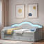 Upholstered Daybed With Led And 2 Drawers-117353046-117353048