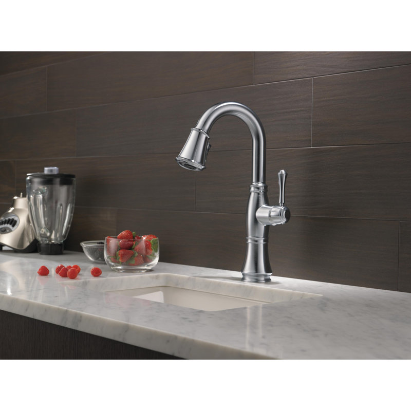 Robinet de bar avec douchette extractible Cassidy ™, Acier inoxydable arctique Lumicoat